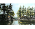 Cove at Wallace Island