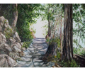 forest trail