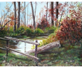 Fence on Stream